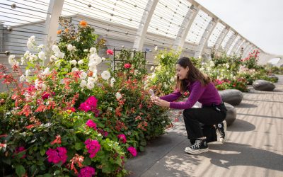 Capture, Submit, Win: Downtown Long Beach Photo Contest Returns for 2025