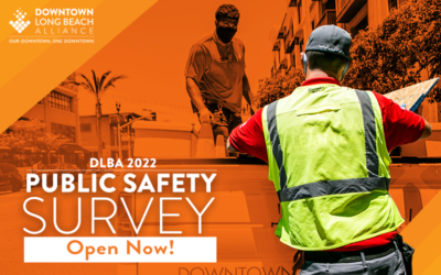 Public Safety Survey Reflects Challenges Facing Downtown