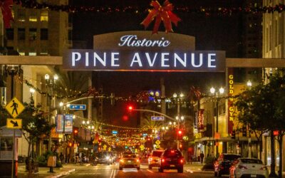 Shine Bright: Downtown Businesses Spark Holiday Cheer in Festive Lights Contest