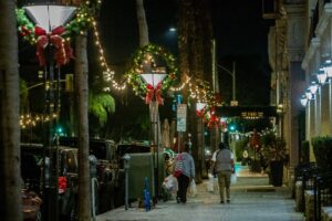 holiday decorations in dtlb
