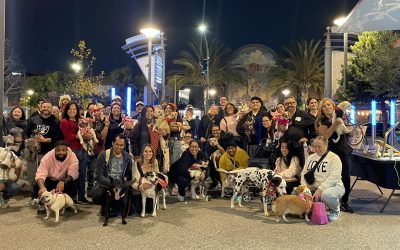 Downtown Long Beach Dog Walk ‘Paws on the Promenade’ Builds Community One Step at a Time