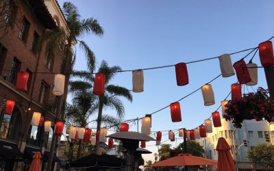 Deck the Halls and Savor the Flavors: DTLB Restaurants Open During the Holidays
