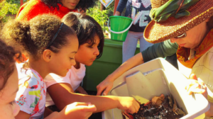 Children learn about gardening in a DTLB garden