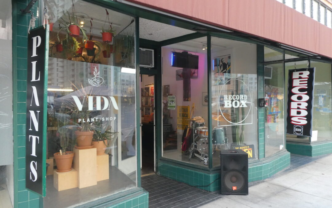 Art, Plants, and Music Converge at Vida Plant Shop